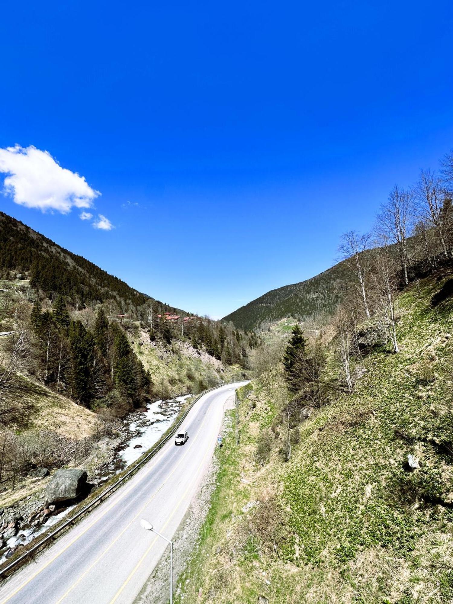 Green Cinar Apart Uzungöl Exteriér fotografie